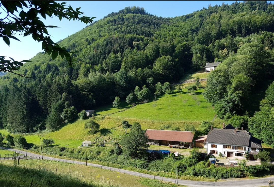 Ancienne auberge réhabilitée en habitation sur un peu moins d&rsquo;1 ha