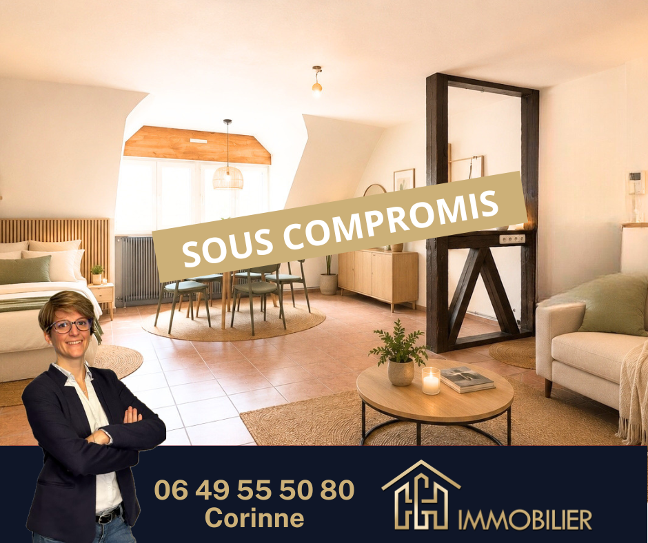 Studio de 42.46m2 - Colmar